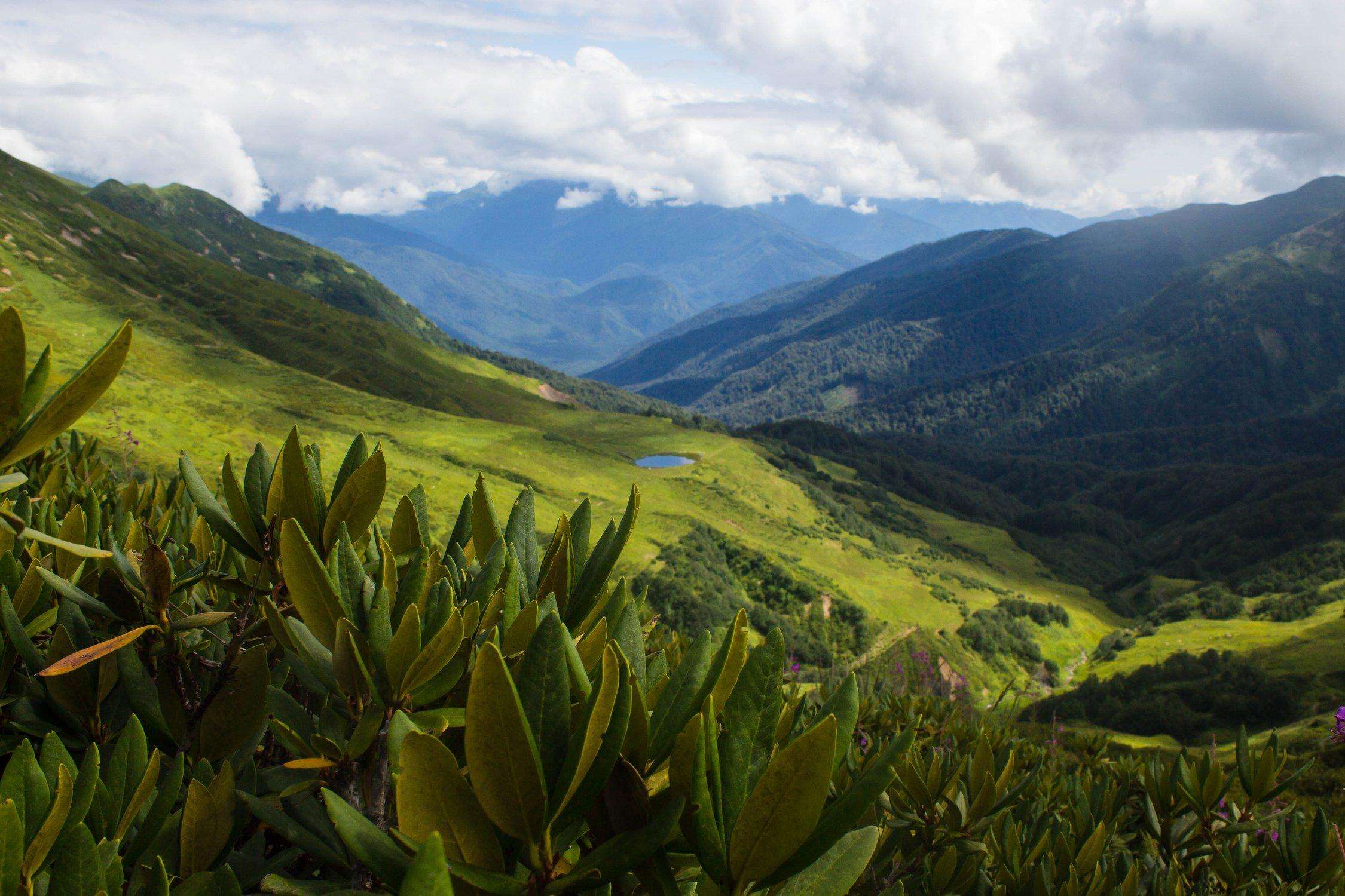 Фото туры по Абхазии